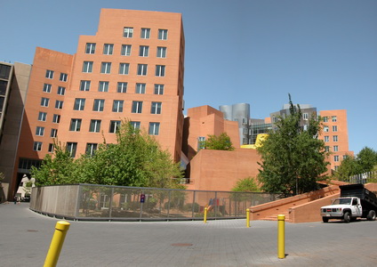 Stata Center, Frank Gehry